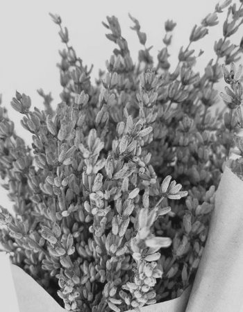 Лучший день