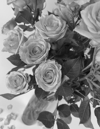 Лучший день