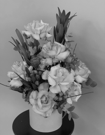 Лучший день